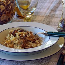 Pilzrisotto mit Mangold, Kräuterseitlingen und Garnelen