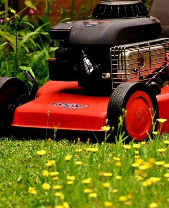 11 Tipps zum richtigen Rasenmähen