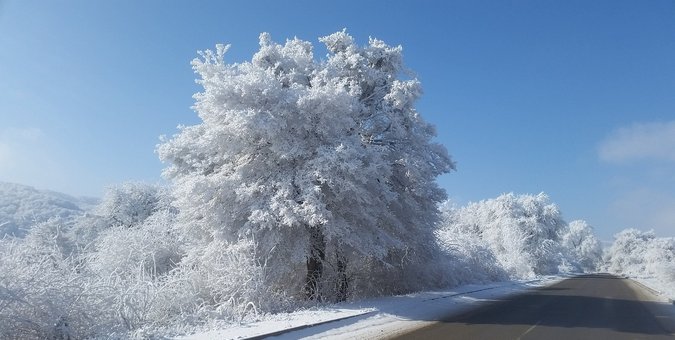 Strasse im Winter im Schwarzwald