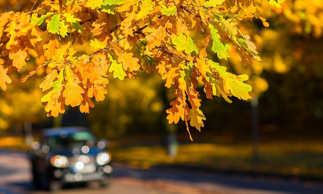 Autofahren im Herbst kann eine Herausforderung sein jestetterzipfel.de